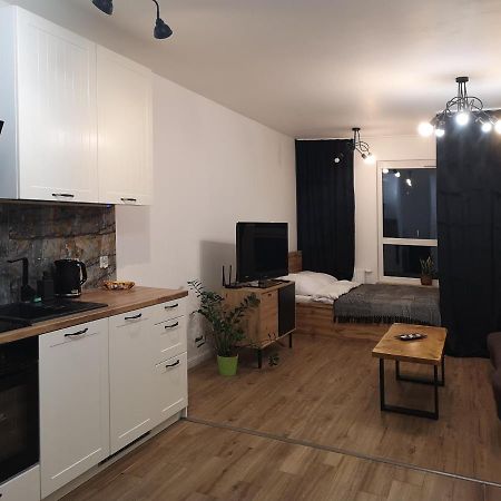 Apilois Apartament 格但斯克 外观 照片