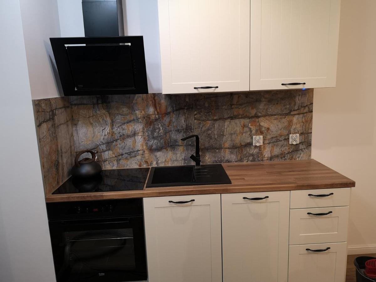 Apilois Apartament 格但斯克 外观 照片
