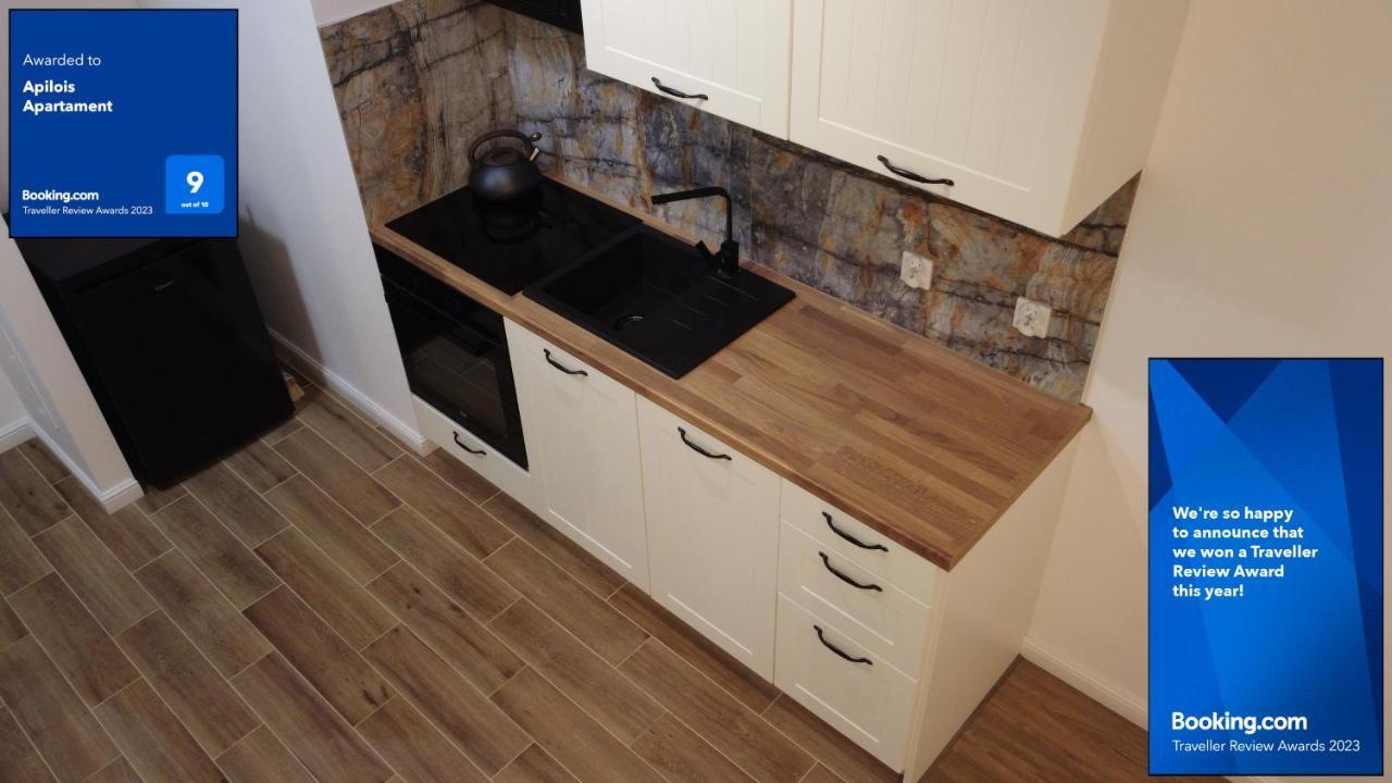 Apilois Apartament 格但斯克 外观 照片