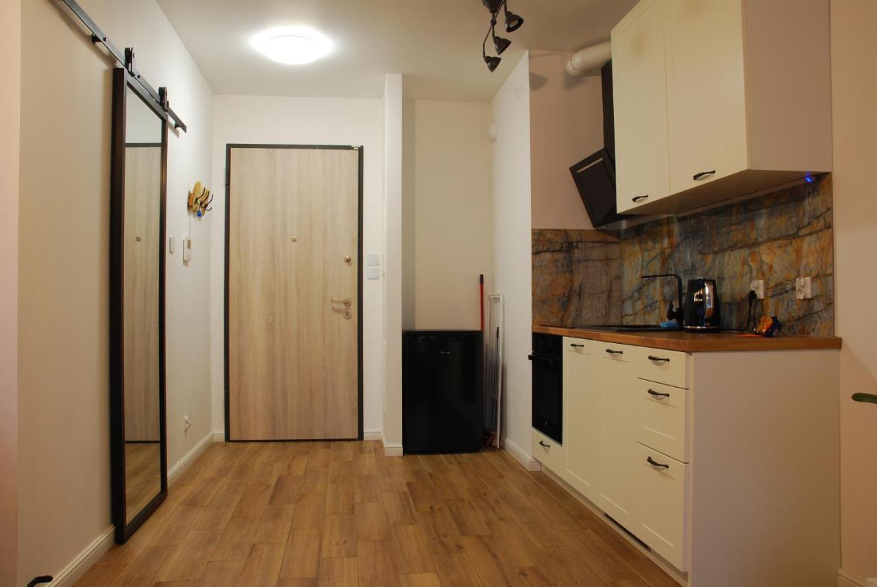 Apilois Apartament 格但斯克 外观 照片