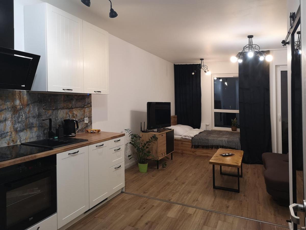Apilois Apartament 格但斯克 外观 照片